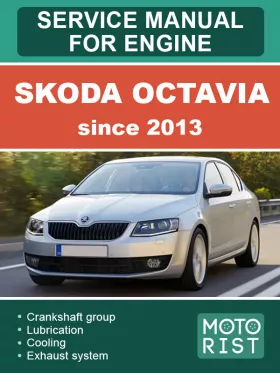 Книга по ремонту двигателя Skoda Octavia (CLHA / CLHB / CKFA / CKFC / CRVC / CUPA / CRKB / CRMB / CUNA / CXXA / CXXB / DBKA / CYKA / CXMA / CUUA / CUUB / DFSA / DDFSB / DDYA / DCYA / DGTE / DJGA / DFFA) c 2013 года, в формате PDF (на английском языке)